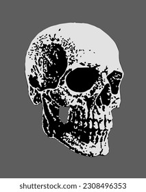 Human Skull in Black And White Monochrome