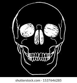 Human skull. Black and white silhouette. Isolated vector illustration. Hand drawn linear sketch. Black and white linear silhouette.