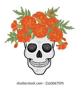 Human skull with blooming marigolds.Bouquet of flowers in orange color with green leaves.Decorative print on fabric and paper.Vector hand drawn isolated illustration for design card,sticker,poster.