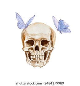 Human skull, blue butterflies, watercolor. Vector illustration. Day of the Dead and Halloween cards, invitations, banners, posters, covers, flyers.