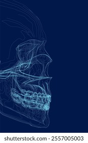 human skull blue contour, side view - vector illustration