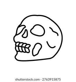 Human Skull Bone Head Line Icon: Skeletal Anatomy