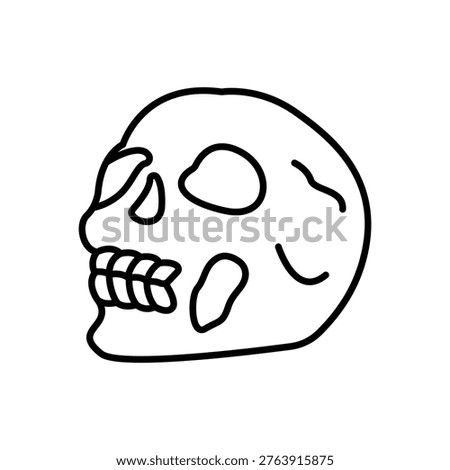 Human Skull Bone Head Line Icon: Skeletal Anatomy