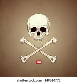 Human Skull and Bones on Old Paper Background. Vector Illustration.