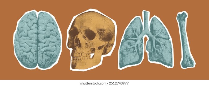 human skull, brain, lungs and bone. Monochrome halftone collage elements in retro bitmap style for scrapbook, poster art or t-shirt. Cutout dotted stickers with grain texture.

