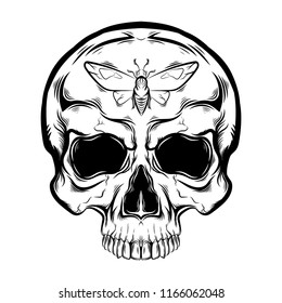 Human skull and butterfly, line art, tattoo sketch on a white background. Print, illustration