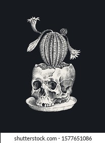 Human skull with cactus on a black background. Retro old school sketch for tattoo in vintage style. Monochrome Symbol. Hand drawn engraved retro badge for t-shirt, banner, poster and logo.