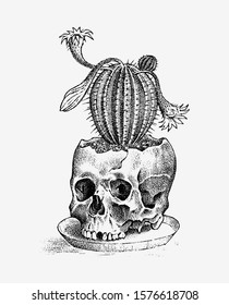 Human skull with cactus. Retro old school sketch for tattoo in vintage style. Monochrome Symbol. Hand drawn engraved retro badge for t-shirt, banner, poster and logo.