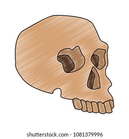 Human skull cartoon scribble