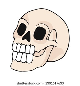 human skull cartoon vector illustration motif set. Hand drawn isolated bone elements clipart for nature blog, natural history bone skeleton graphic, anatomy education web buttons.