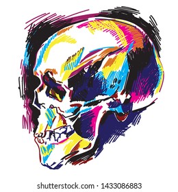 
Human skull, colorful drawing, sketch. Skull, death, magic.