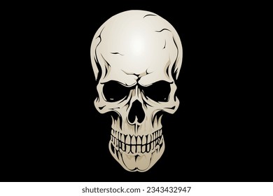 Human skull. Colourful vector illustration on black background.