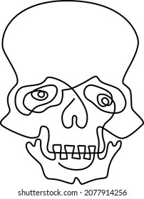 Human skull. Continuous line drawing. Humorous vector illustration.
