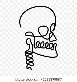 human skull, continuous line drawing