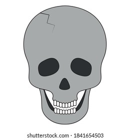 Human skull. Crack in the forehead. Vector illustration. An integral part of the skeleton. Bone frame of the head. Isolated white background. Cartoon style. Halloween symbol. Jaw with straight teeth. 