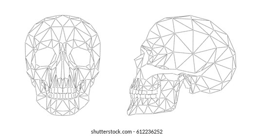 Human skull, cranium, abstract dotted line design on white background, vector file