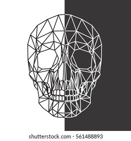 Human skull, cranium, abstract polygonal lines design on black and white background