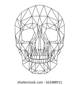 Human skull, cranium, abstract polygonal lines design on white background