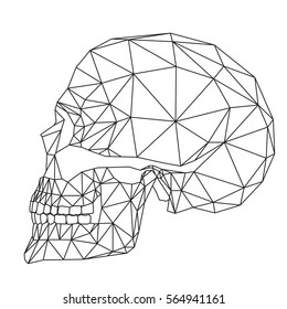 Human skull, cranium, geometric black lines, polygons ant triangles art on white background, vector illustration