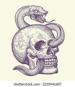 Human skull with crawling snake. Hand drawn sketch in vintage engraving style. Monochrome tattoo vector illustration