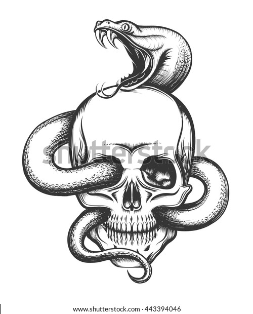 蛇が這う人間の頭蓋骨 彫り方のイラスト のベクター画像素材 ロイヤリティフリー