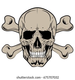 Human skull and crossbones, isolated on white, vector illustration