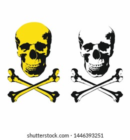 Human skull and crossbones on white background
