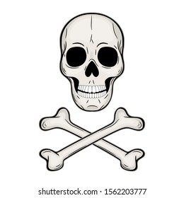 Human skull and crossbones. Pirate flag. Jolly Roger. Drawn by hand. Vector illustration isolated on white background. Color graphic sketch.