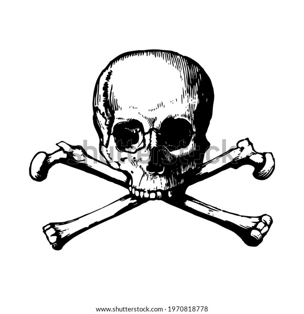 Human skull with crossbones. Vector\
illustration isolated on white\
background.