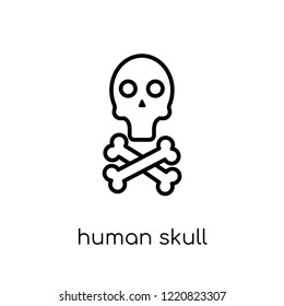 human skull with crossed bones icon. Trendy modern flat linear vector human skull with crossed bones icon on white background from thin line Human Body Parts collection, outline vector illustration