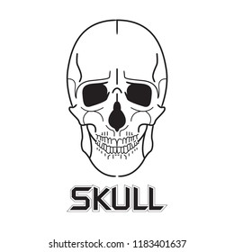 Human skull in dark for tattoo Black and white skate