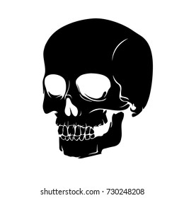 The human skull. Design element for Happy Halloween cards, posters or banner. Cartoon style. Doodles. Vector illustration.