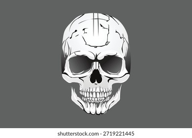  Human Skull with Detailed Shading