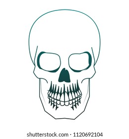Human skull drawing in blue lines