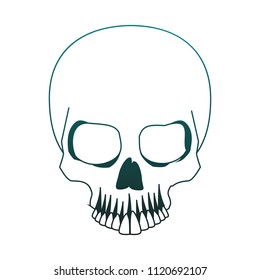 Human skull drawing in blue lines