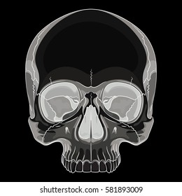 Human skull, drawn by hand, isolated on black, vector illustration