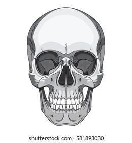 Human skull, drawn by hand, isolated on black, vector illustration