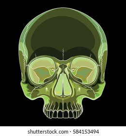 Human skull, drawn by hand, isolated on black, vector illustration