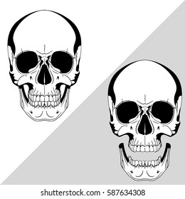 Human skull, drawn by hand, isolated on black, vector illustration