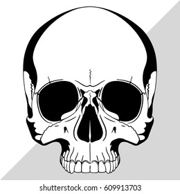 Human skull, drawn by hand, isolated on black, vector illustration