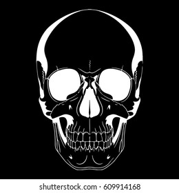 Human skull, drawn by hand, isolated on black, vector illustration