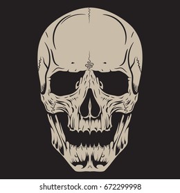 Human skull, drawn by hand, isolated on black, vector illustration