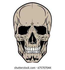 Human skull, drawn by hand, isolated on black, vector illustration