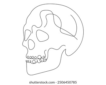 human skull drawn one line art vector illustration   