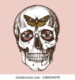 Human skull with eyes and Death's head hawk moth. Hand-drawn vector anatomical illustration for your mystic or gothic design.