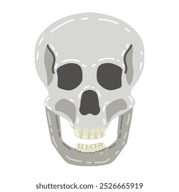 Human skull facing straight forward. The skull is depicted in shades of gray with black eye sockets and nose, and white teeth.