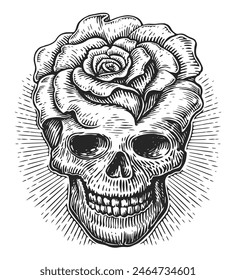 Cráneo humano y flores, rosa. Día de los muertos. Vacaciones mexicanas, boceto Clipart estilo de grabado vintage