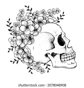 Human Skull and flowers sketch, hand drawn illustration. Vector illustration. Tattoo vintage print. Skull and camellia flower . T-shirt design. Black and white.