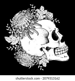 Human Skull and flowers sketch, hand drawn illustration. Vector illustration. Tattoo vintage print. Skull and chrysanthemum. T-shirt design.