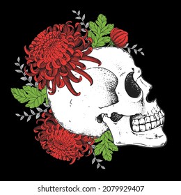 Human Skull and flowers sketch, hand drawn illustration. Vector illustration. Tattoo vintage print. Skull and chrysanthemum. T-shirt design.